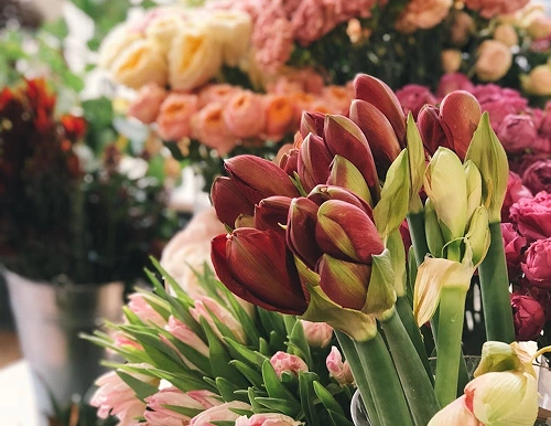 Flower Shop