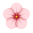 Event Decoration