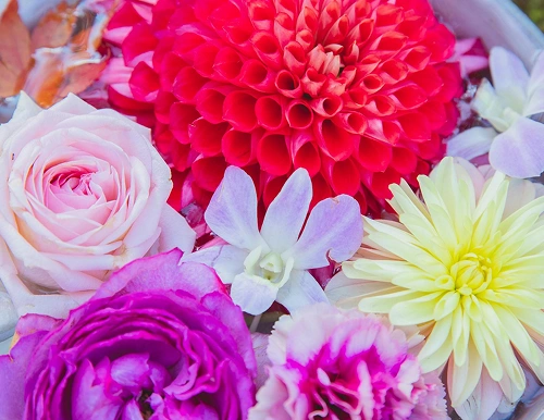 Red Rose Bouquet