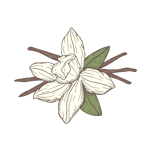 Vanilla Bean