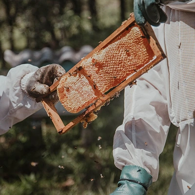 Honey Blog