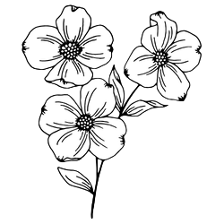 about-card-image-2