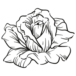 about-card-image-3