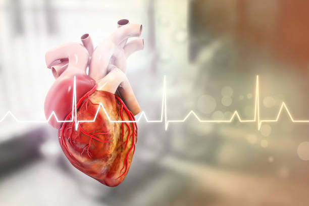 Heart Care Tips
