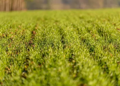 Nourishment for Every Life