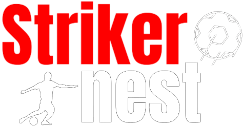 StrikerNest logo