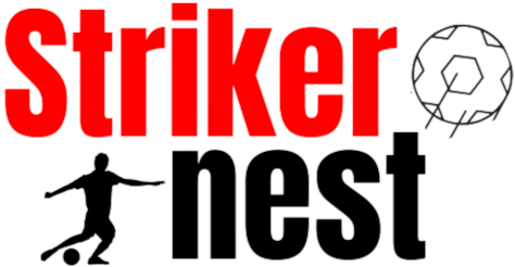 StrikerNest logo